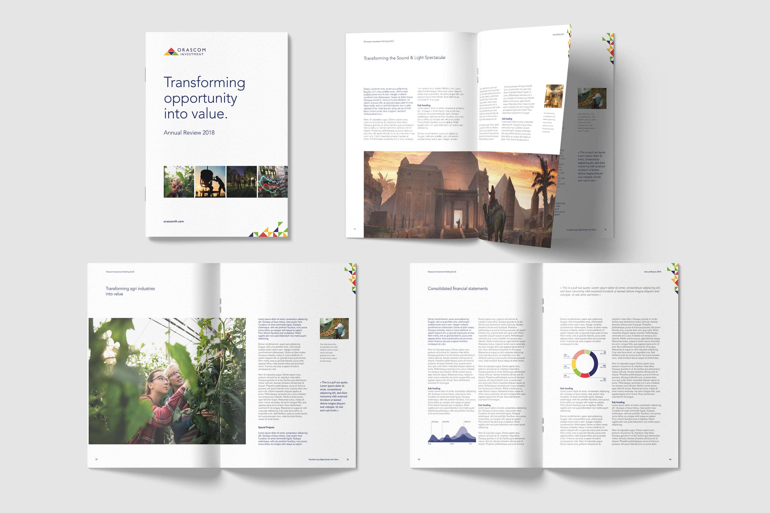 Orascom Investment Holding Visual Language